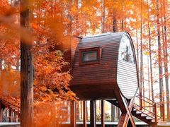 -黄海国家森林公园