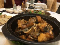 红烧鲟龙鱼-骏丰酒楼(黄编店)
