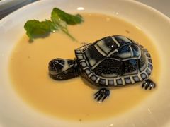 椰汁龟苓膏-南拳十三姨·潮汕砂锅粥·粤菜(西单大悦城店)