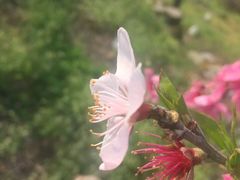 -永和红旗美食城