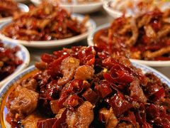 -食神又名厕所兔