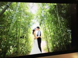 -太郎花子婚纱摄影艺术中心