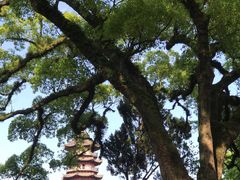 -阿育王寺