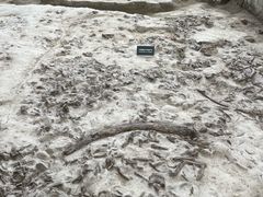 -金沙遗址博物馆