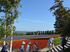 -富田农场