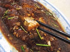 -九龙餐厅(大沽路店)