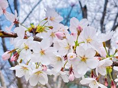 -西北湖绿化广场