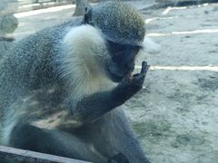 -新疆天山野生动物园