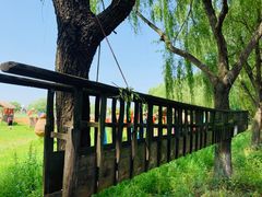 -长兴太湖图影湿地文化园