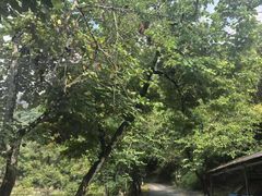 -桂山风景旅游区