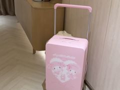 -桔子水晶杭州西湖南山路酒店