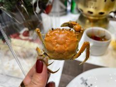 -云顶旋转自助景观餐厅
