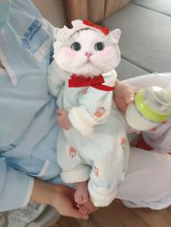 -哈佛宝贝月子会所(登封店)