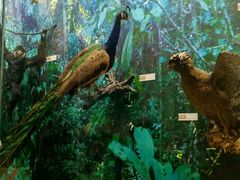 -国家自然博物馆