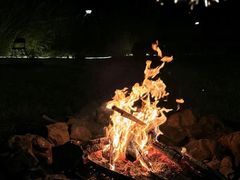 -第五季龙水凤港生态露营农场