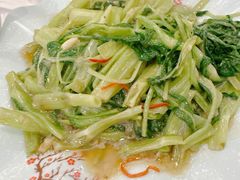 -沙田新强记烧鹅海鲜酒家