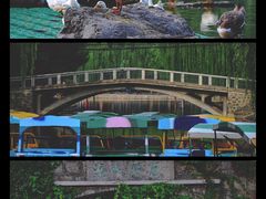 -团结湖公园