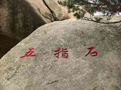 -崂山巨峰游览区
