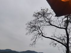 -天目湖涵田半山温泉