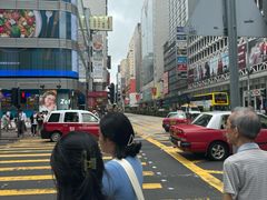 -油麻地果栏