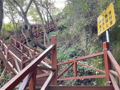 -大岭沟猕猴桃谷风景区