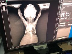 -爱侣宠医·鹦鹉专科·小型哺乳类·异宠专科(灵石路店)