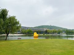 -上海佘山世茂艾美酒店