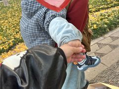 -绵阳人民公园(涪城区)