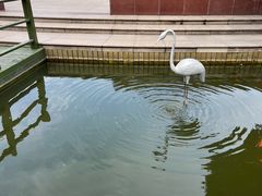 -七宝老街-闵行市民文化广场