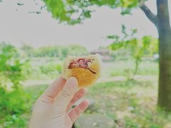 -鹅湖玫瑰文化园