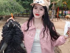-灵玲国际马戏城