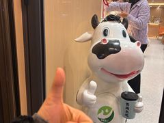 -德禄酸奶(莫家街店)