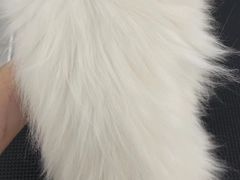 -comecome来吧宠物(奥克斯中心店)