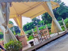 -金谷域澳洲庄园