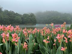 -广州市石门国家森林公园