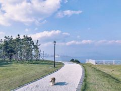 -小麦岛公园