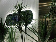 -兰湘子·湘菜小炒(崂山丽达店)