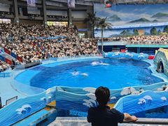 -海合安成都极地海洋公园