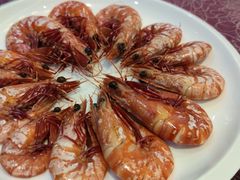 -欢乐海岸美食联盟