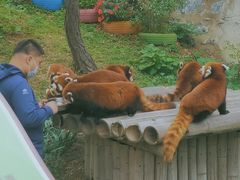 -大连森林动物园