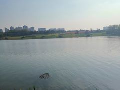 -大明宫国家遗址公园·御道广场