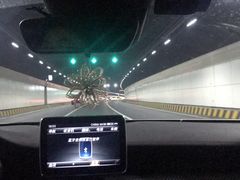 -胶州湾海底隧道