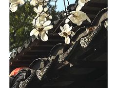 -上海醉白池公园