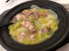 白菜鱼鳔煲-潮荟·经典潮州菜