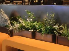 -万达广场(龙湖店)