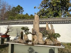 -杭州植物园