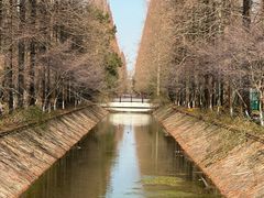 -东平国家森林公园