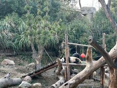 -宁波野生动物园