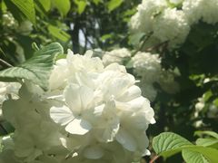 -白塘生态植物园