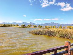 -野鸭湖国家湿地公园